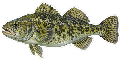 Olive Green Fish with Dark Speckled Scales Vinyl Decal Stickers