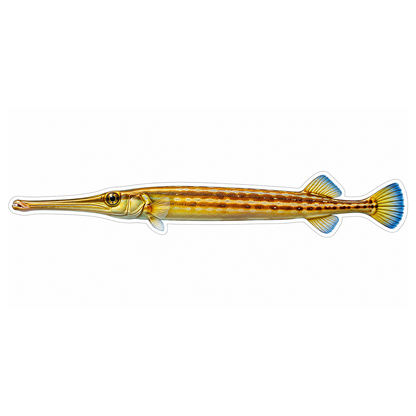 Slender Gold Trumpetfish with Blue Tail Art Vinyl Decal Stickers