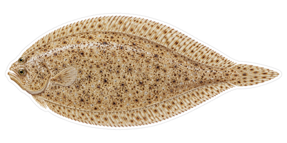 Flat Speckled Tan Fish with Pointed Tail Art Vinyl Decal Stickers