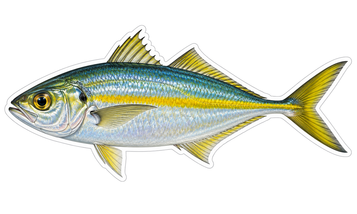 Yellowstripe Scad Vinyl Sticker Decal
