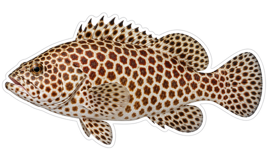 Honeycomb Grouper Fish with Large Brown Spots Vinyl Sticker Decal