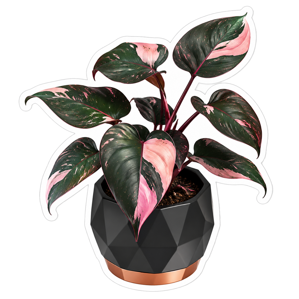 Houseplants Pink Princess Philodendron Vinyl Sticker Decal