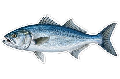 Bluefish Die Cut Vinyl Sticker Decal