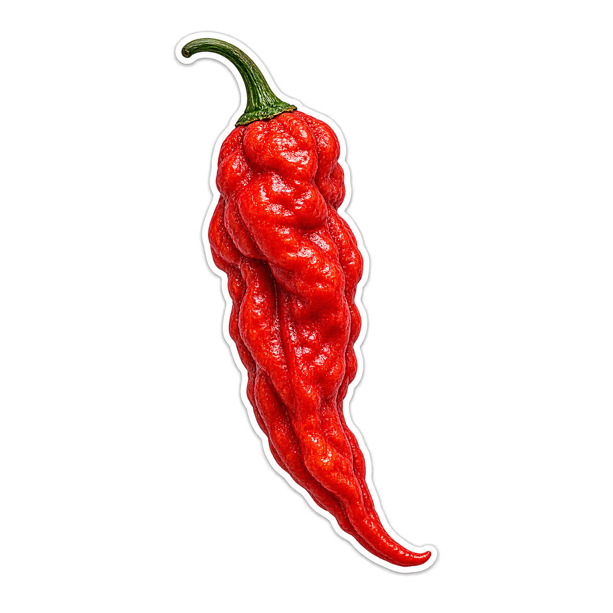 Chili Peppers Ghost Pepper Vinyl Sticker Decal