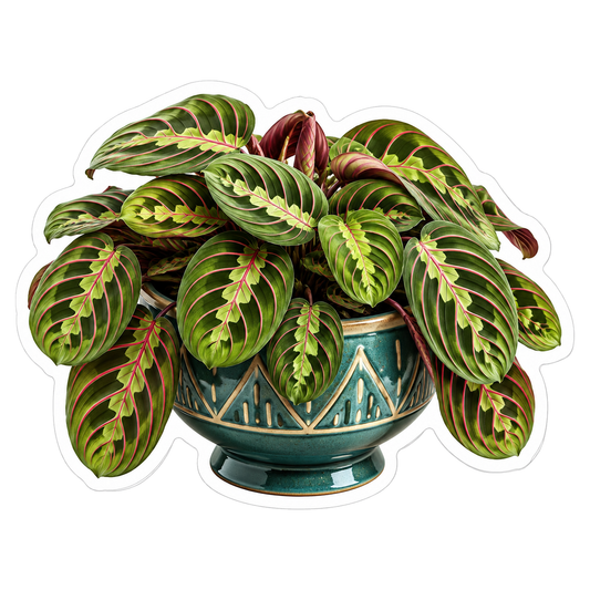 Houseplants Prayer Plant Vinyl Sticker Decal