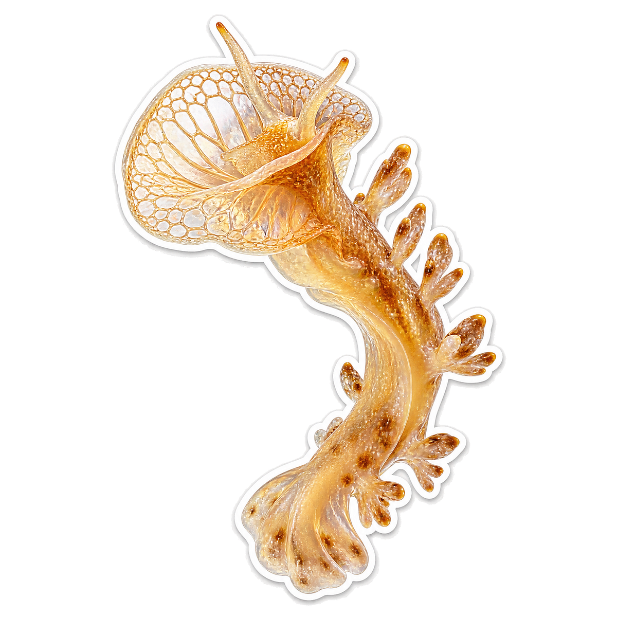 Nudibranchs Hooded Nudibranch T1304Pdt Vinyl Sticker Decal
