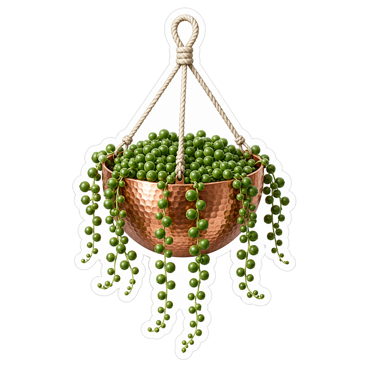 Houseplants String Of Pearls Vinyl Sticker Decal