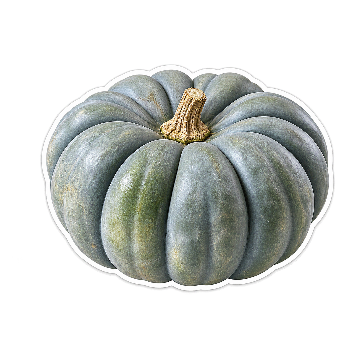 Heirloom Pumpkins Jarrahdale Vinyl Sticker Decal