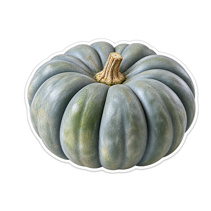 Heirloom Pumpkins Jarrahdale Vinyl Sticker Decal