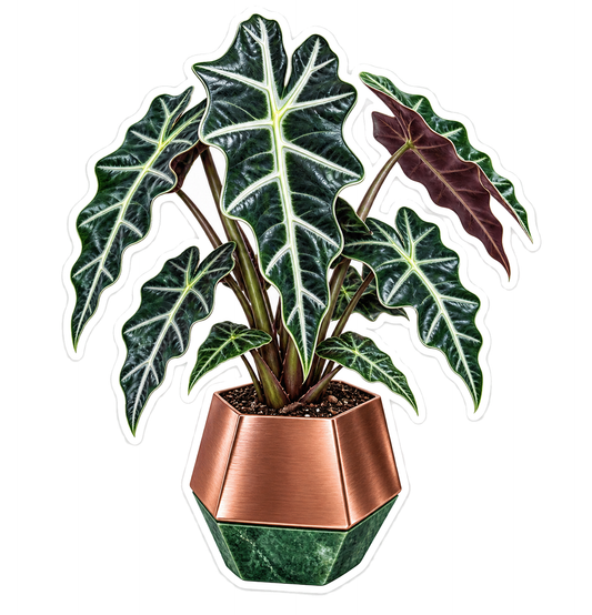 Houseplants Alocasia Polly Vinyl Sticker Decal