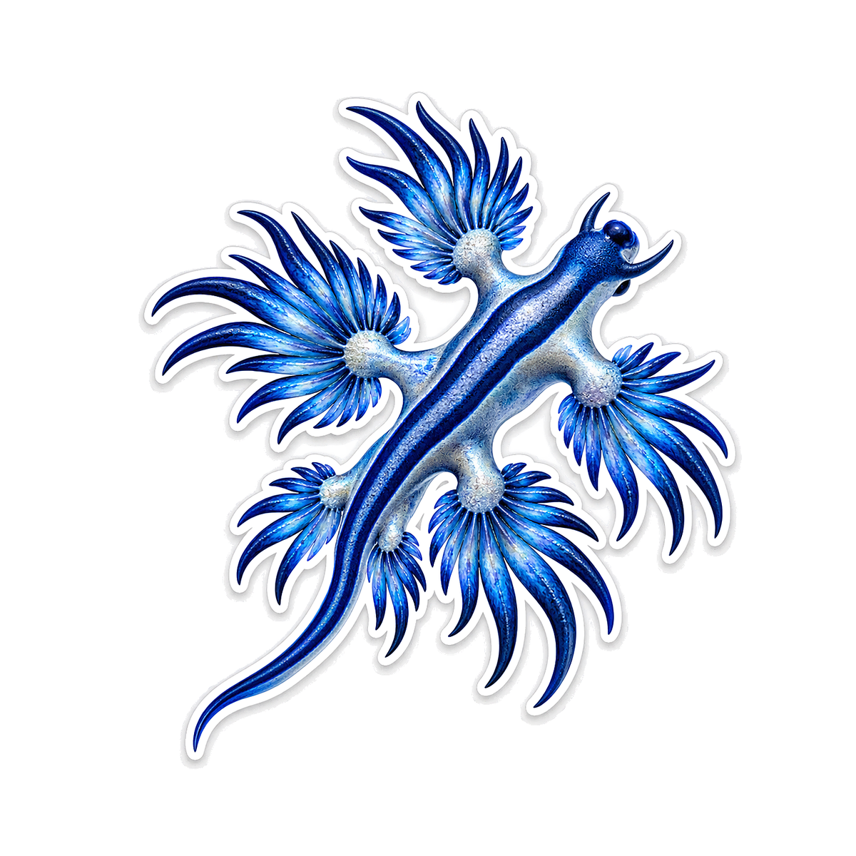 Nudibranchs Blue Dragon Sea Slug T1304Pdt Vinyl Sticker Decal