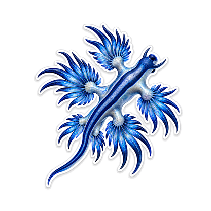 Nudibranchs Blue Dragon Sea Slug T1304Pdt Vinyl Sticker Decal