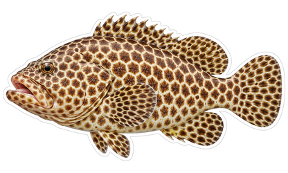 Honeycomb Grouper Fish with Small Brown Spots Vinyl Sticker Decal