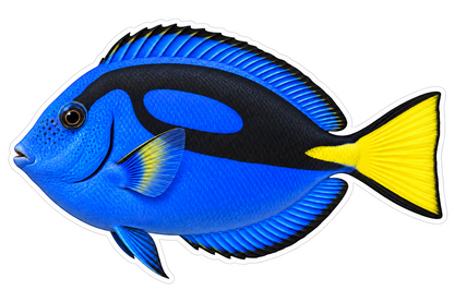 Blue Tang Vinyl Sticker Decal