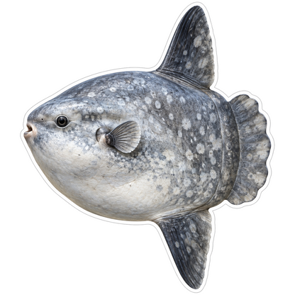 Ocean Sunfish Vinyl Sticker Decal