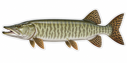 Muskellunge Vinyl Sticker Decal