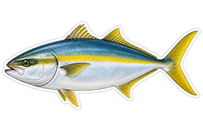 Yellowtail Kingfish Vinyl Sticker Decal