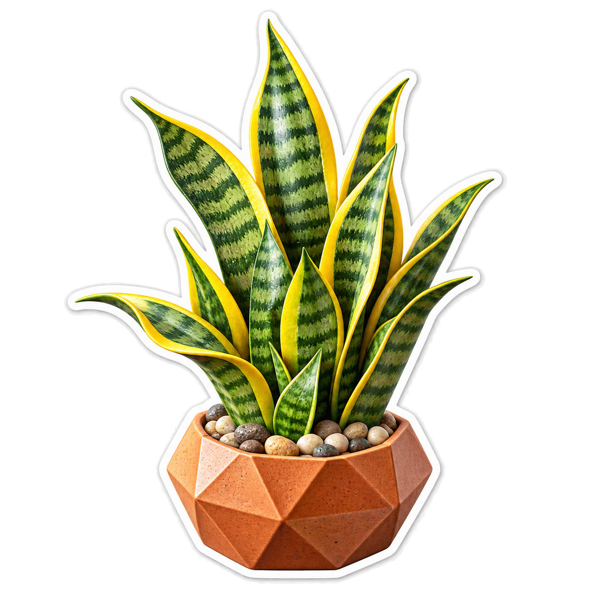 Snake Plant Geometric Pot Vinyl Sticker Decal