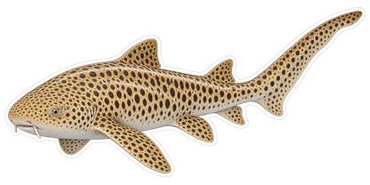Zebra Shark Vinyl Sticker Decal